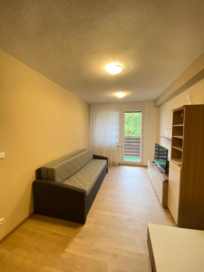 Apartman Na Kraji Lesa Všemina Exteriér fotografie