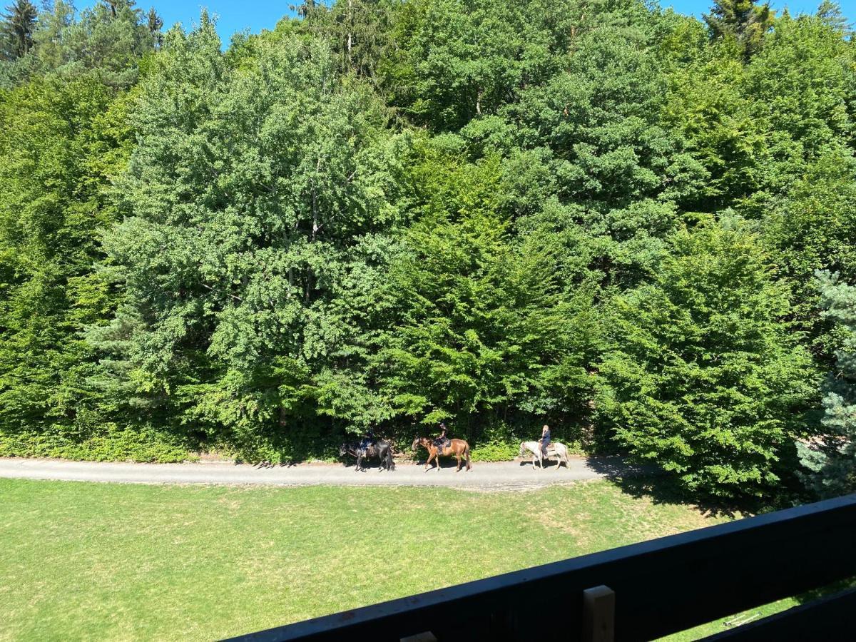 Apartman Na Kraji Lesa Všemina Exteriér fotografie