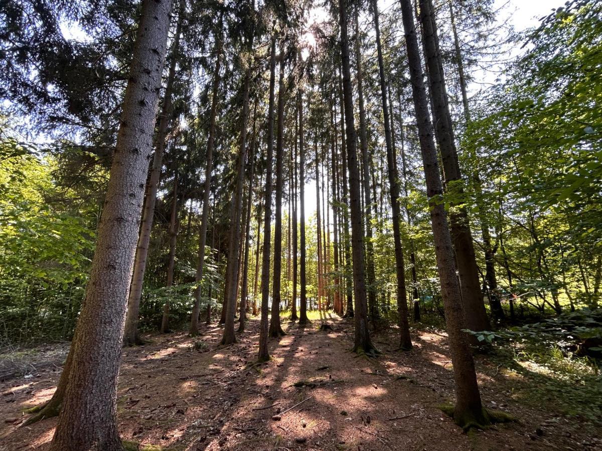 Apartman Na Kraji Lesa Všemina Exteriér fotografie